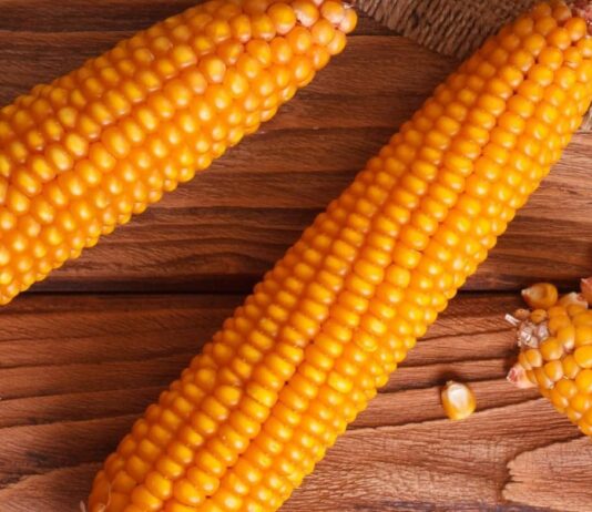 corn