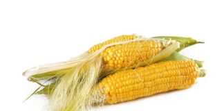 corn