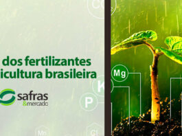 papel-dos-fertilizantes-na-agricultura-brasileira