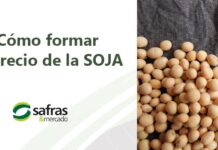 Como formar el precio de la soja