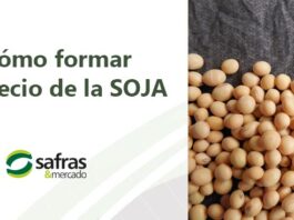 Como formar el precio de la soja