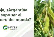 Argentina supo ser el granero del mundo