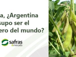 Argentina supo ser el granero del mundo