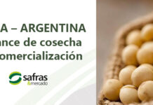 SOJA – ARGENTINA: Avance de cosecha y comercialización