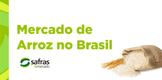 imagem-de-um-saco-de-arroz_frase_Mercado-de-Arroz-no-Brasil